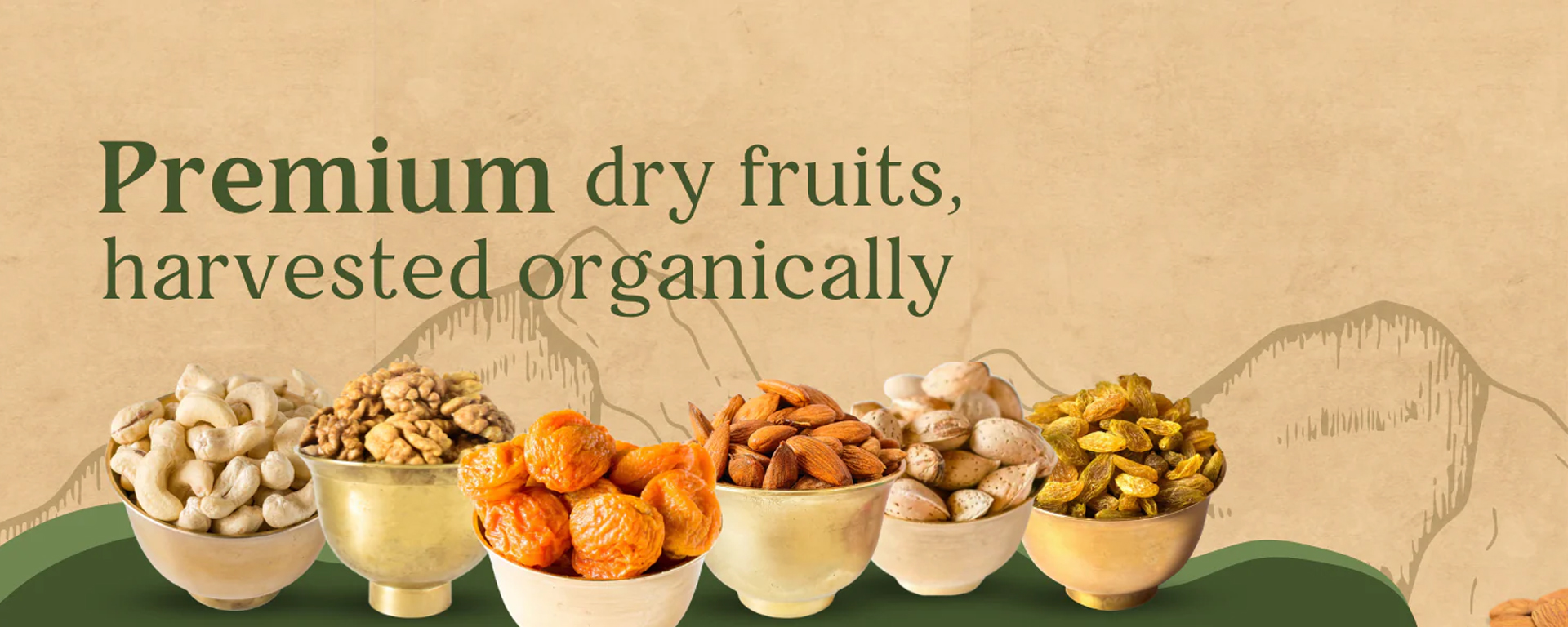 Dryfruits
